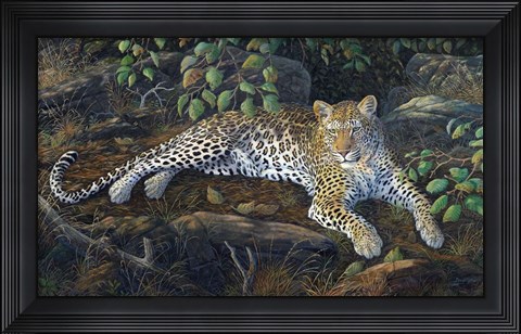 Framed In The Shadows Print