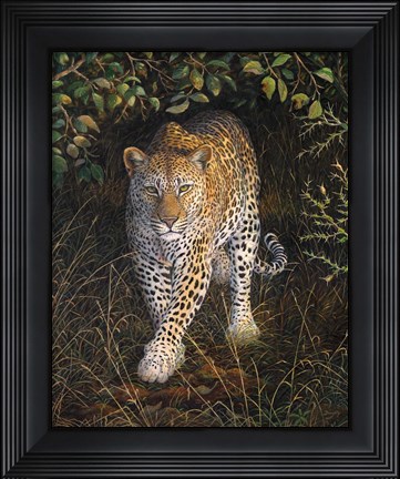 Framed Eyes of the Hunter Print