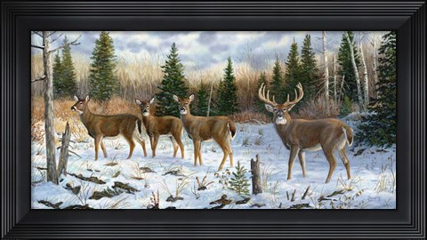 Framed On Alert Print