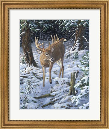 Framed Winter Encounter Print