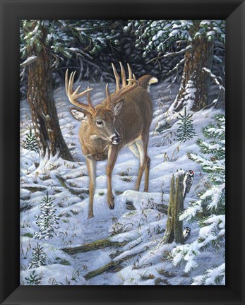 Framed Winter Encounter Print