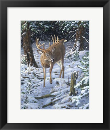 Framed Winter Encounter Print