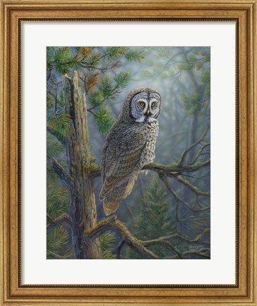 Framed Gray Dawn Owl Print