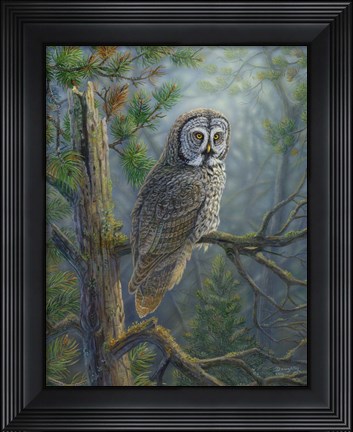 Framed Gray Dawn Owl Print