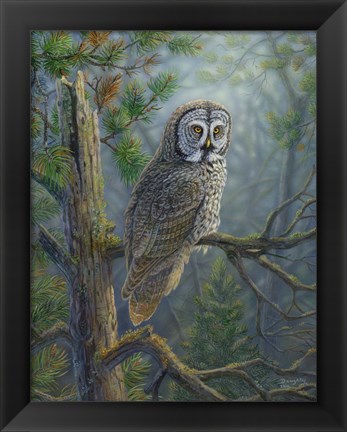 Framed Gray Dawn Owl Print