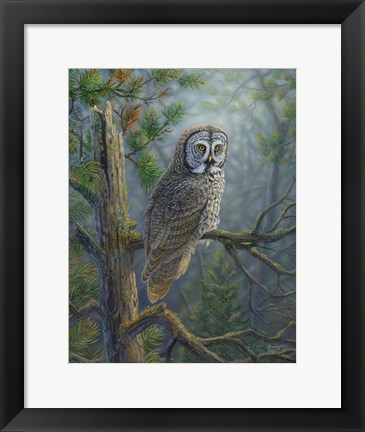 Framed Gray Dawn Owl Print