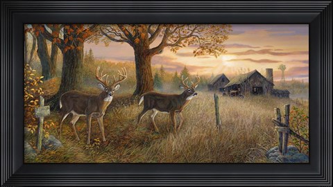 Framed Unknown Sanctuary Print
