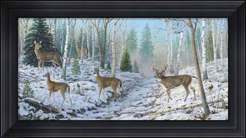 Framed Whitetail Passion Print
