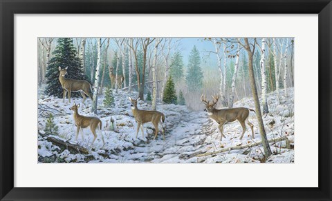 Framed Whitetail Passion Print