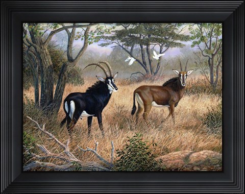 Framed Watchful Companions Print
