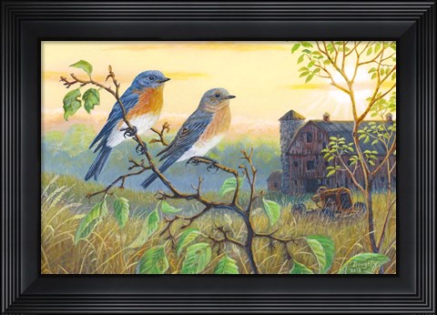 Framed True Blue Bluebird Print