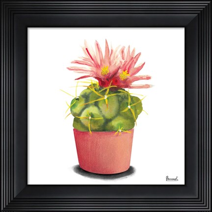 Framed Cactus Flowers I Print