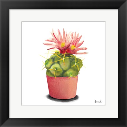 Framed Cactus Flowers I Print