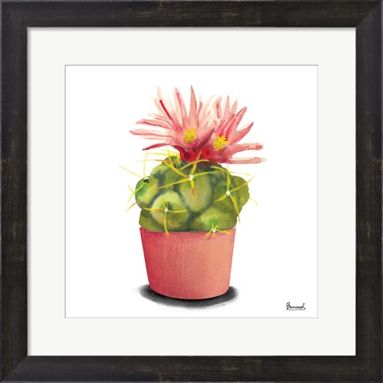 Framed Cactus Flowers I Print