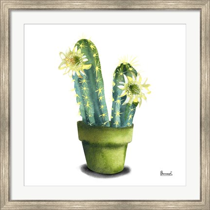 Framed Cactus Flowers II Print