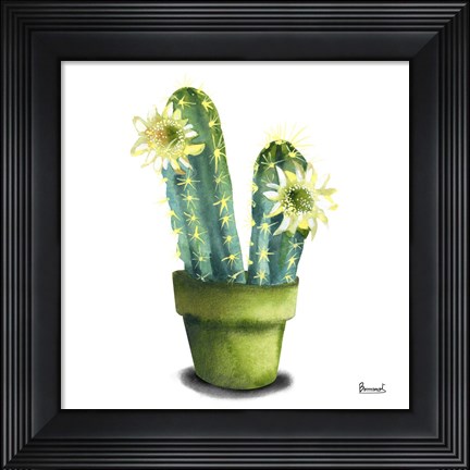 Framed Cactus Flowers II Print