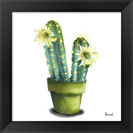 Framed Cactus Flowers II Print