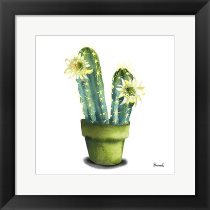 Framed Cactus Flowers II Print