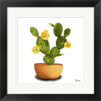 Framed Cactus Flowers III Print