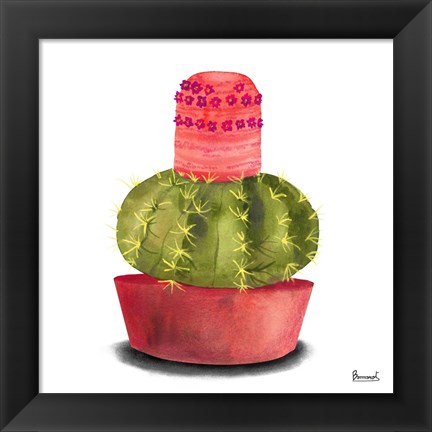 Framed Cactus Flowers IV Print