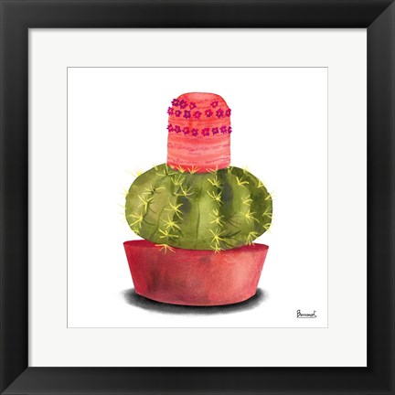 Framed Cactus Flowers IV Print