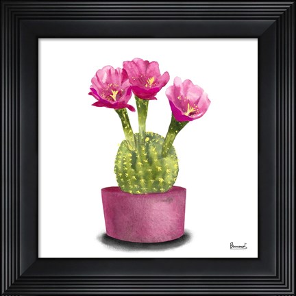 Framed Cactus Flowers V Print