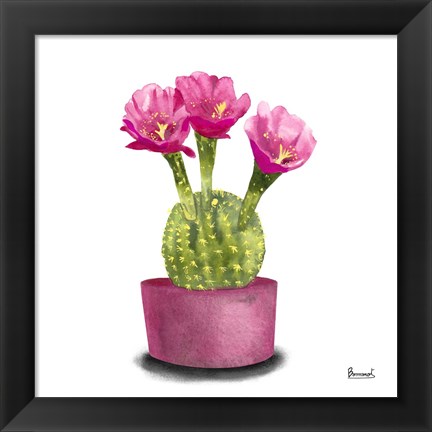 Framed Cactus Flowers V Print