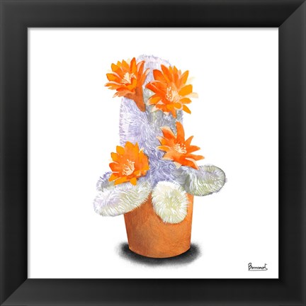 Framed Cactus Flowers VI Print