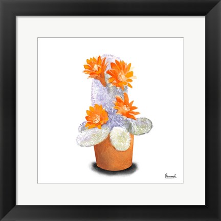 Framed Cactus Flowers VI Print