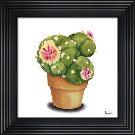 Framed Cactus Flowers VII Print
