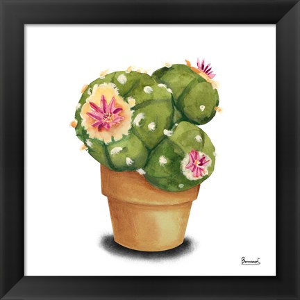 Framed Cactus Flowers VII Print