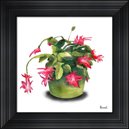 Framed Cactus Flowers VIII Print