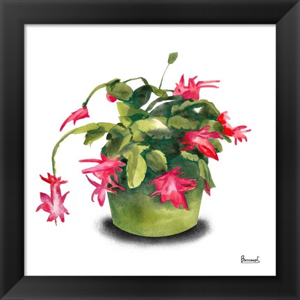 Framed Cactus Flowers VIII Print