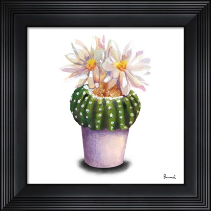 Framed Cactus Flowers IX Print