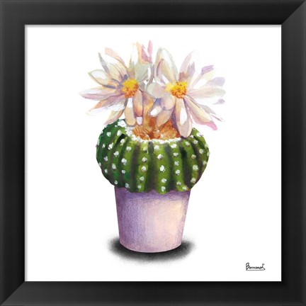 Framed Cactus Flowers IX Print