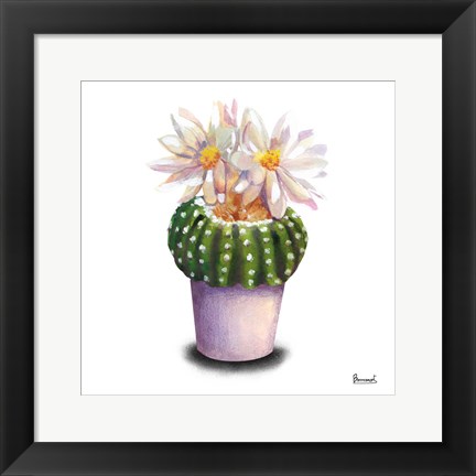 Framed Cactus Flowers IX Print