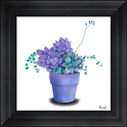 Framed Turquoise Succulents II Print