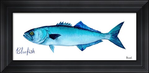 Framed Life of the Big Blue III Print