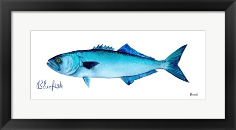 Framed Life of the Big Blue III Print