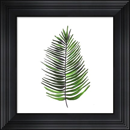 Framed Leaves of the Tropics IV Print