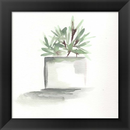 Framed Watercolor Cactus Still Life IV Print