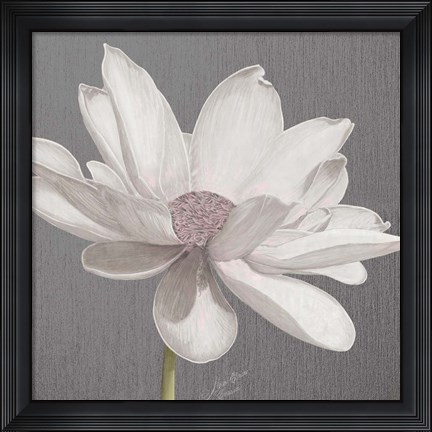 Framed Vintage Lotus on Grey I Print