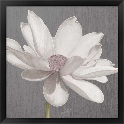 Framed Vintage Lotus on Grey I Print