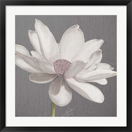 Framed Vintage Lotus on Grey I Print