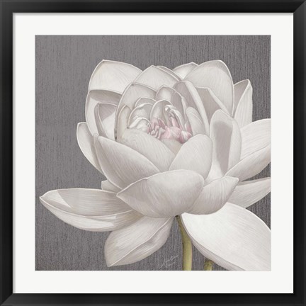 Framed Vintage Lotus on Grey II Print