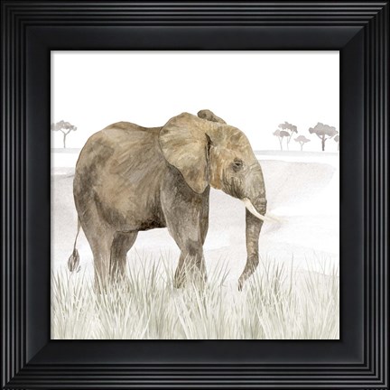Framed Serengeti Elephant Square Print