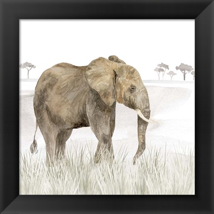 Framed Serengeti Elephant Square Print