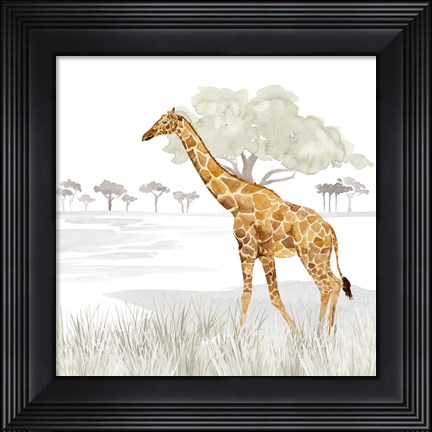 Framed Serengeti Giraffe Square Print