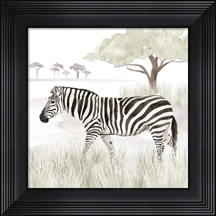 Framed Serengeti Zebra Square Print