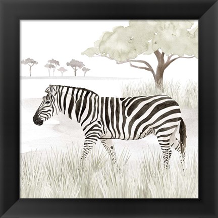 Framed Serengeti Zebra Square Print